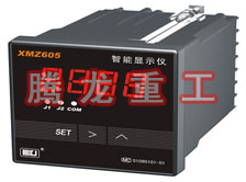 溫度表、數(shù)字顯示儀、濕度表