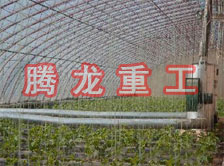 大棚花卉供暖設(shè)備、大棚卉采暖設(shè)備、大棚花卉取暖設(shè)備