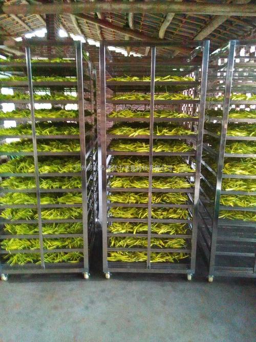 黃花菜烘干機(jī)、黃花菜烘干設(shè)備、黃花菜干燥機(jī)、黃花菜干燥設(shè)備、